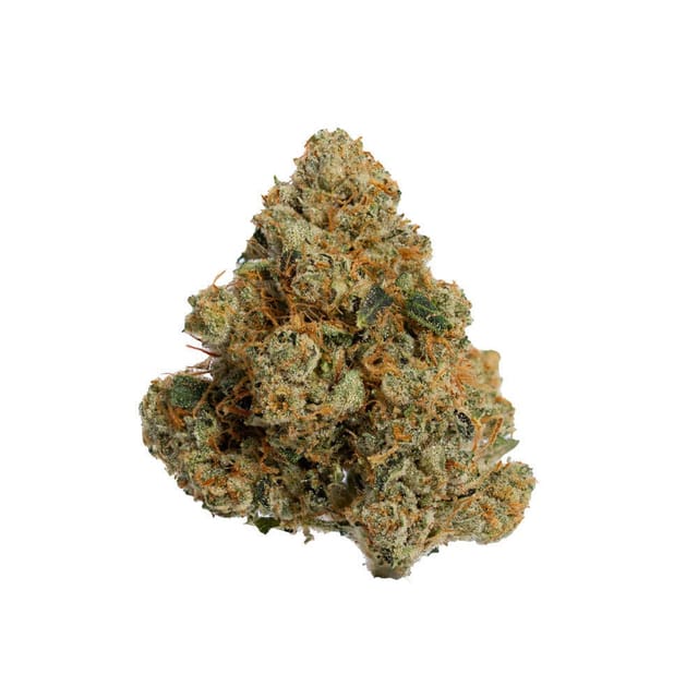 Passiflora — Black Mamba OG