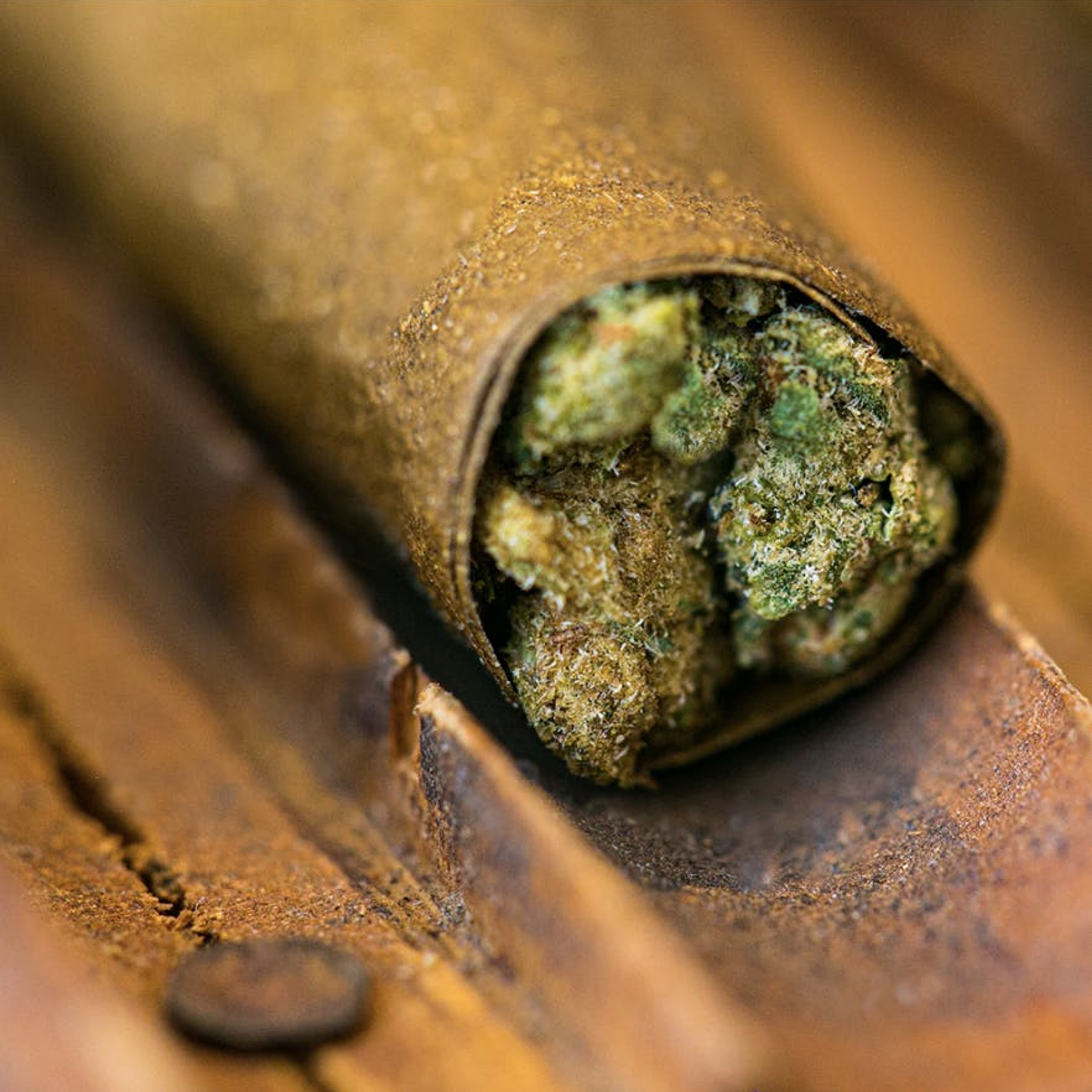 Blanco | Especial Silver Cannabis Cigar Blunt - 1.5g - El Blunto by Albert Einstone's - - $17 - Pre-Rolls