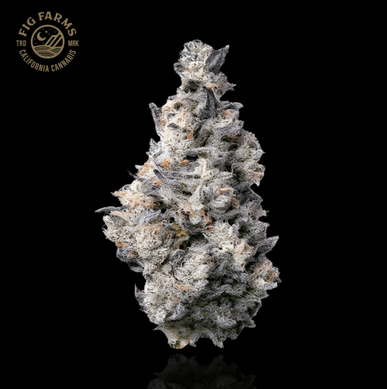 Fig Farms - Donut Shop - 3.5g - Fig Farms -  - $42.99 - Indoor Flowers