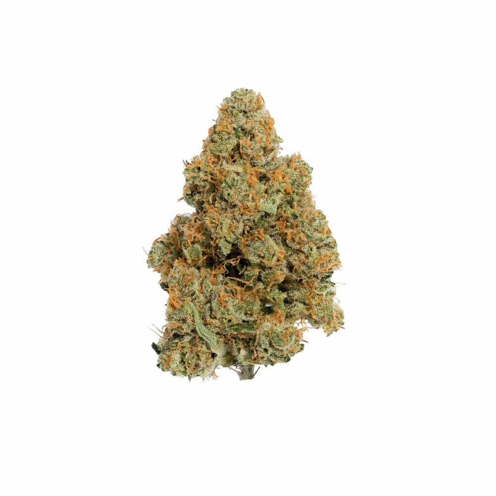 Passiflora — Skywalker OG