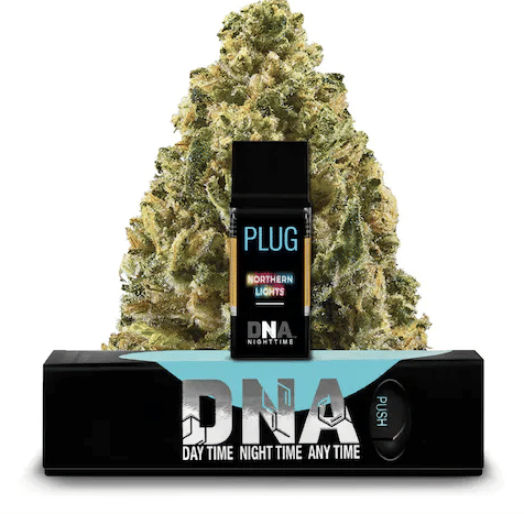 PlugPlay: Northern Lights - Dna