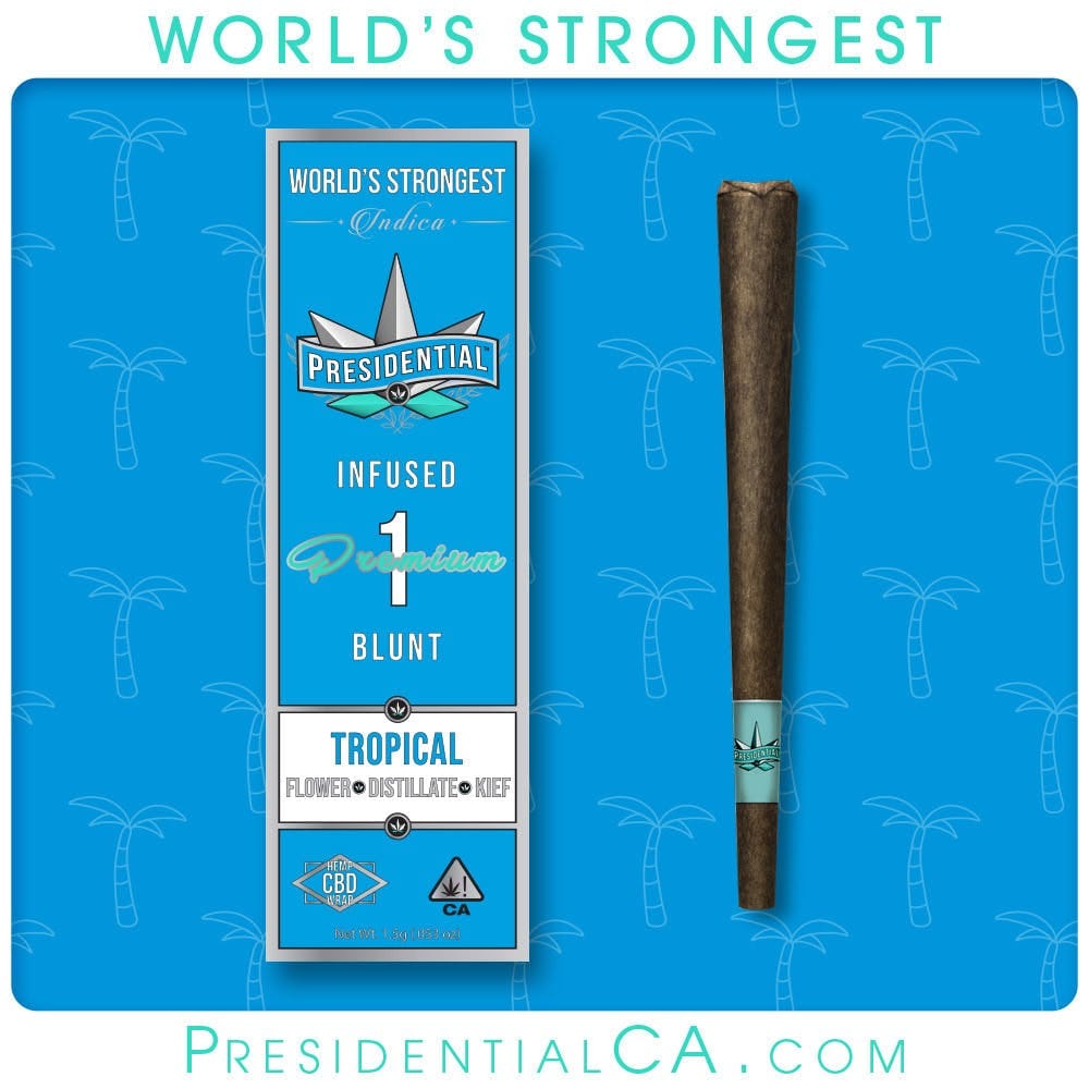 Tropical - 1G Moon Rock Pre Roll - Presidential - Tropical  (I) - $13 - Pre-Rolls
