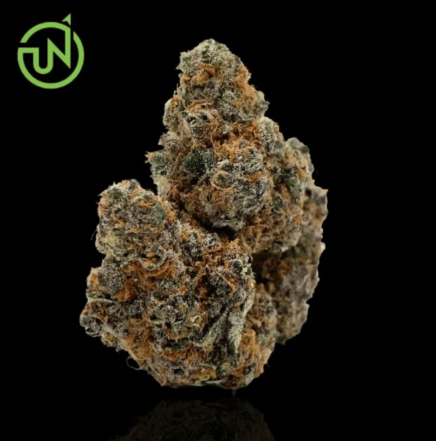 UpNorth — Headband