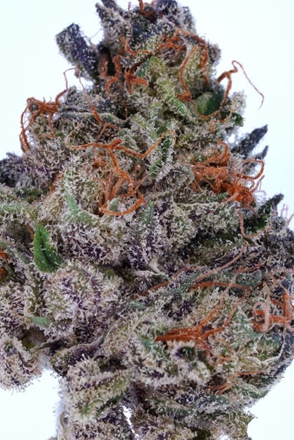 Sour Sage OG