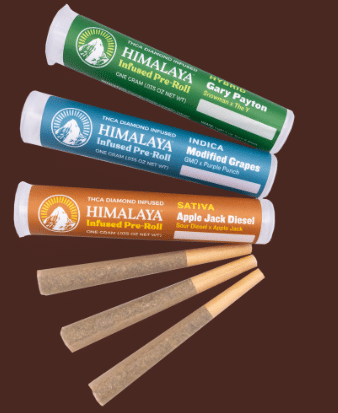 Himalaya: Blue Dream