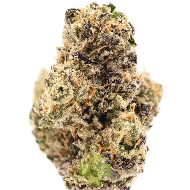 SEED JUNKY: Tropical Burst