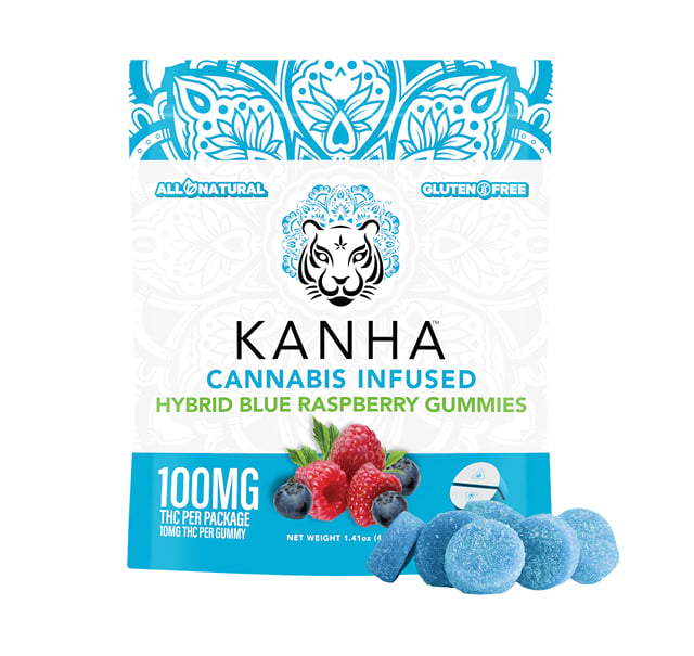 Blue Raspberry | 100mg Hybrid