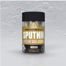 Sputnik — Moon Walkers