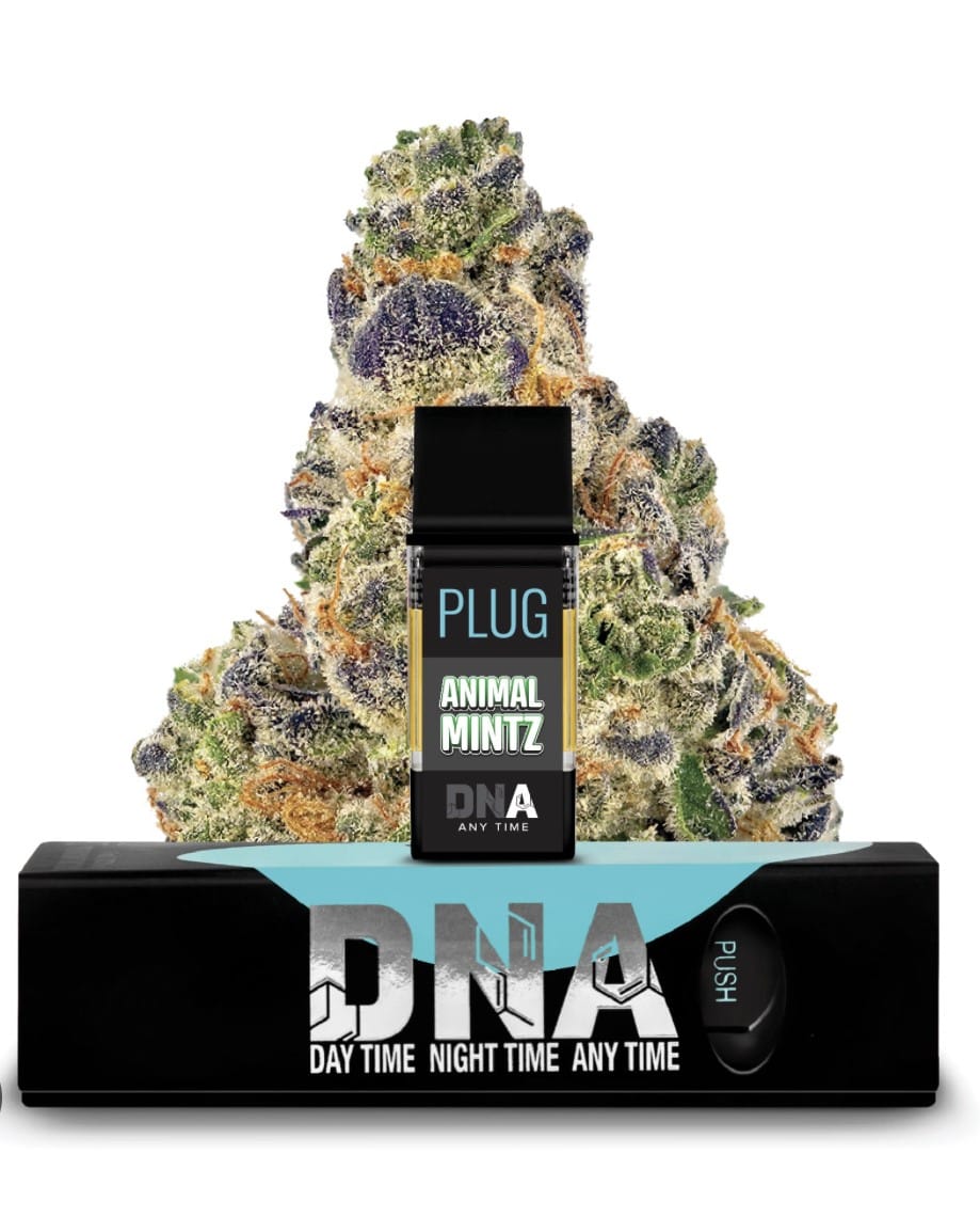 PlugPlay — Animal Mintz