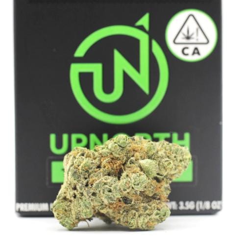 UpNorth: Hindu Kush