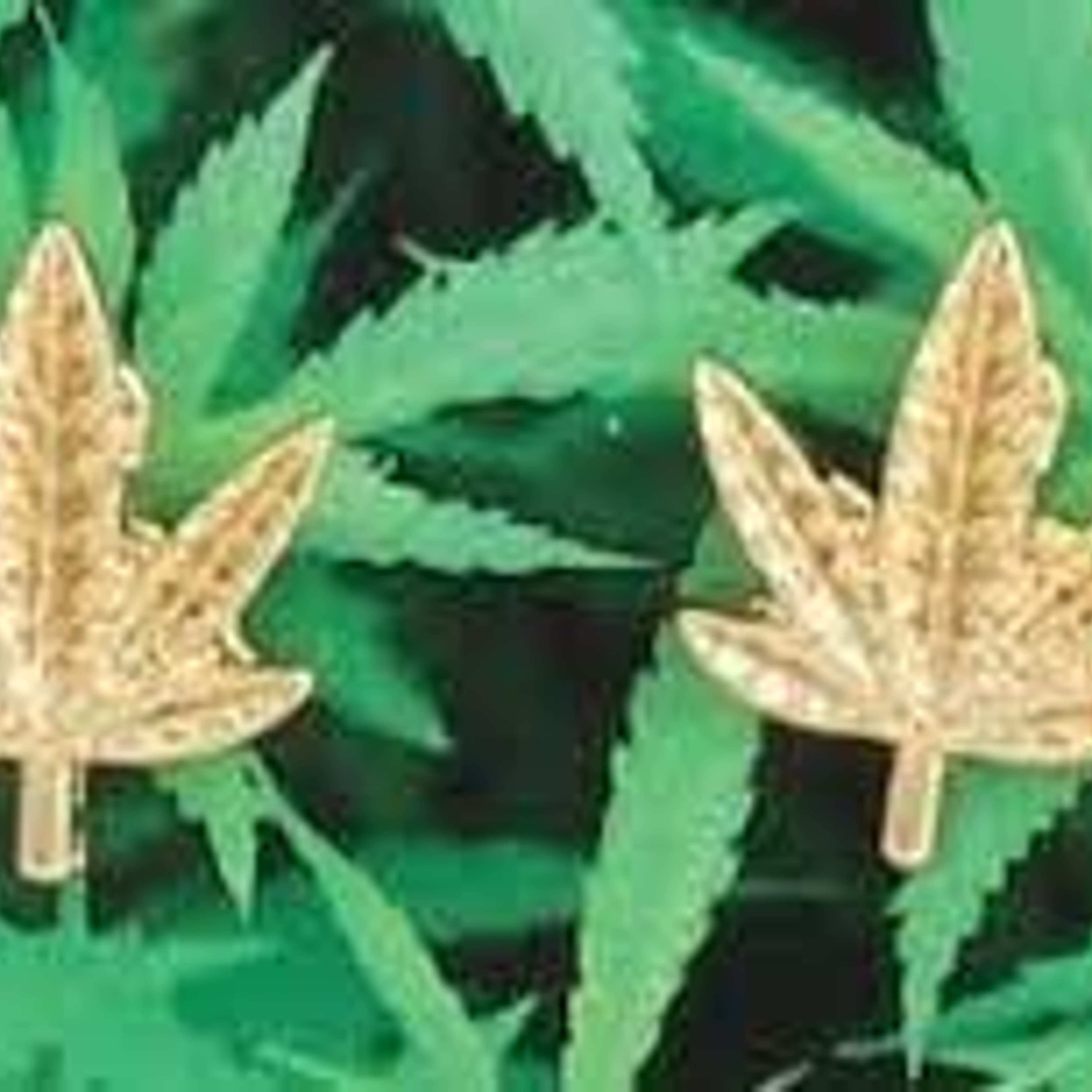 Gold Cannabis Leaf Post Earrings - - $15 - Accessories