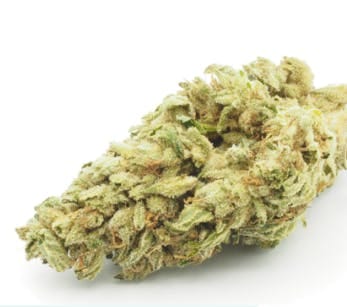 Modified Grapes 1/2 Oz Pre-pack - 14g - Green Earth Co. - null - $65 - Flower