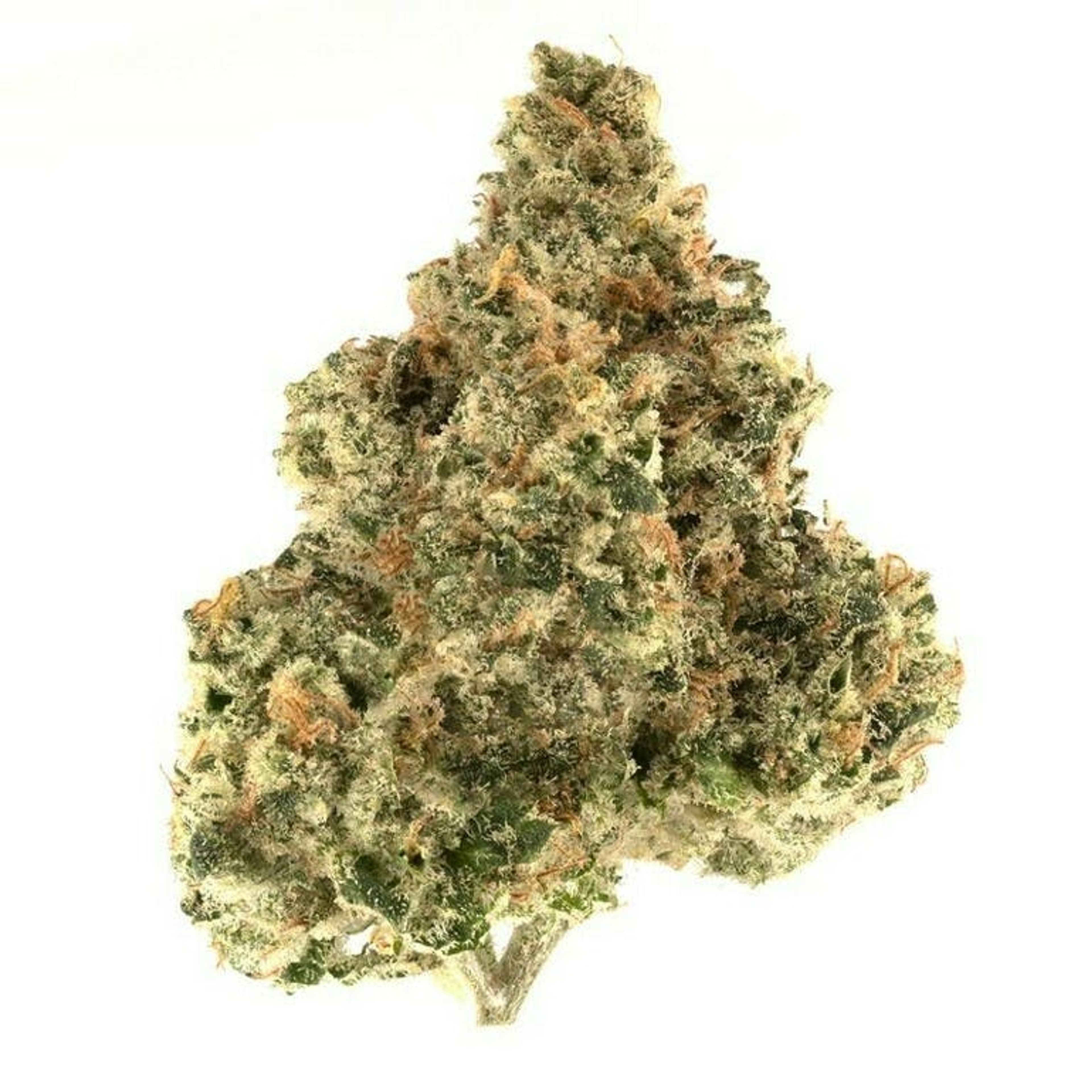 NF1 - Daze Off - Eighth - $35 - Flowers