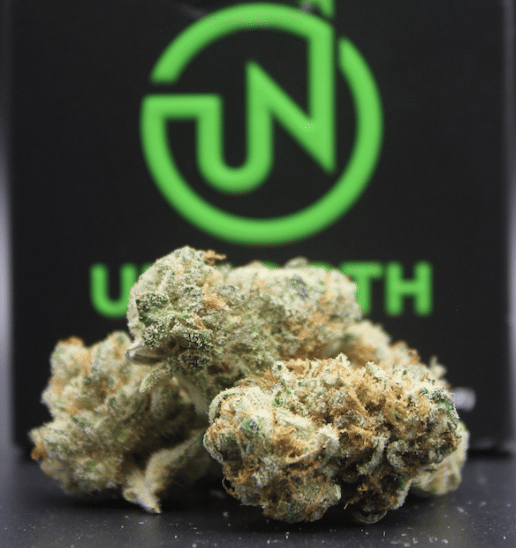 UpNorth — NF1 (Northern Lights x Chem dawg)