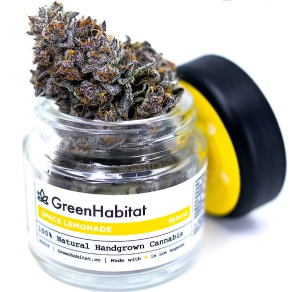 Green Habitat — Space Lemonade