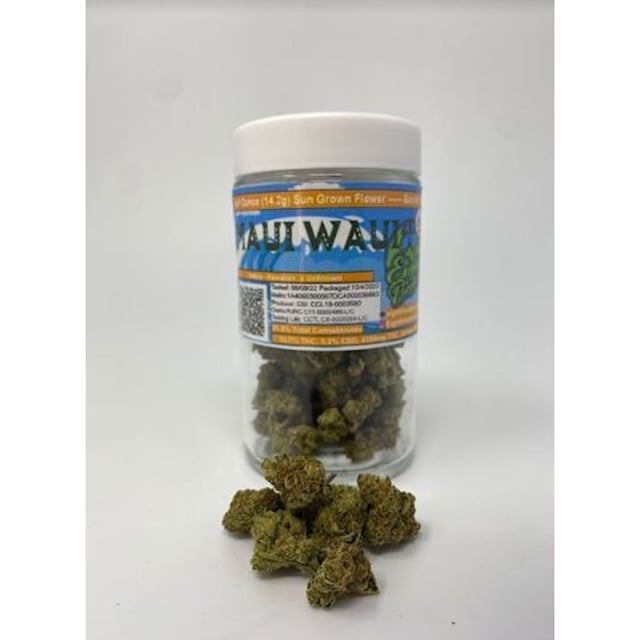 Maui Waui | Jar | 14g Flower