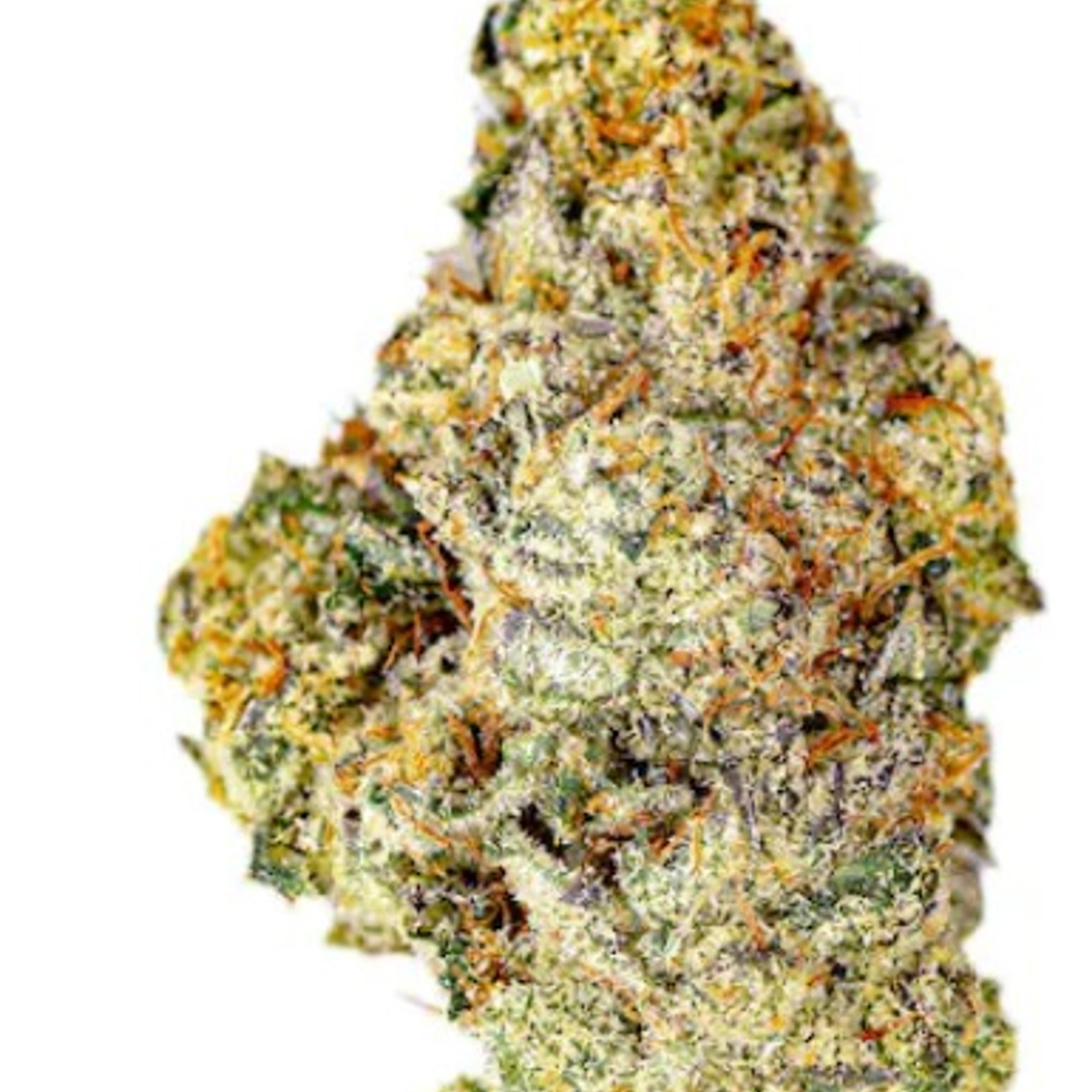 Mule Fuel 3.5g flw classic cuts - Claybourne Co. - - $31.35 - Flower