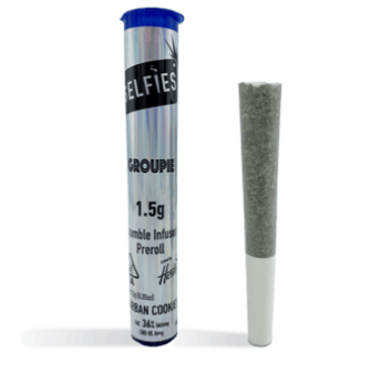 Durban Cookies Groupie Infused Preroll 1.5g - Selfies -  - $13 - Preroll