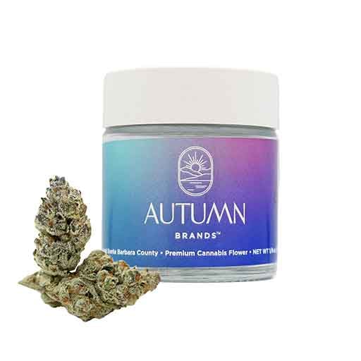 Autumn Brands: Purple Carbonite
