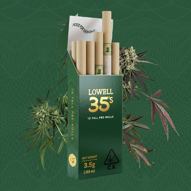 LOWELL 35's Mind Safari 10 pack