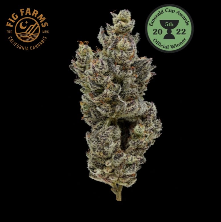 Fig Farms - Holy Moly - 3.5g - Fig Farms -  - $42.99 - Indoor Flowers