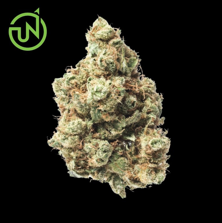 UpNorth - Maui Wowie - 3.5g - UpNorth - MW - AA Flower - 3.5g - $43.99 - Indoor Flowers