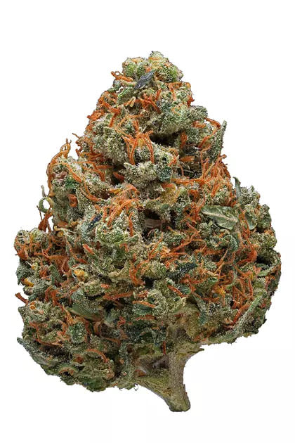 Sour Durban
