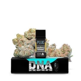 Pineapple Express | DNA | 1g Pod