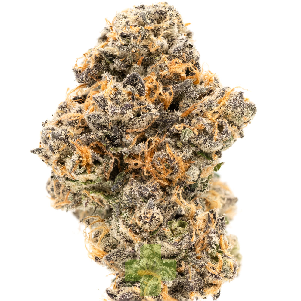 SEED JUNKY: Red Eye