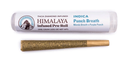 Himalaya Infused Pre-roll - Himalaya - Lemon Snow Leopard (S) - $11 - Pre-Rolls