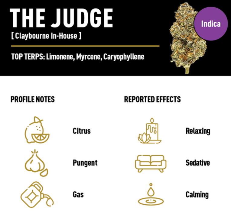 Claybourne: Gold Cuts - The Judge - Claybourne Co. -  - $59 - Indoor Flower