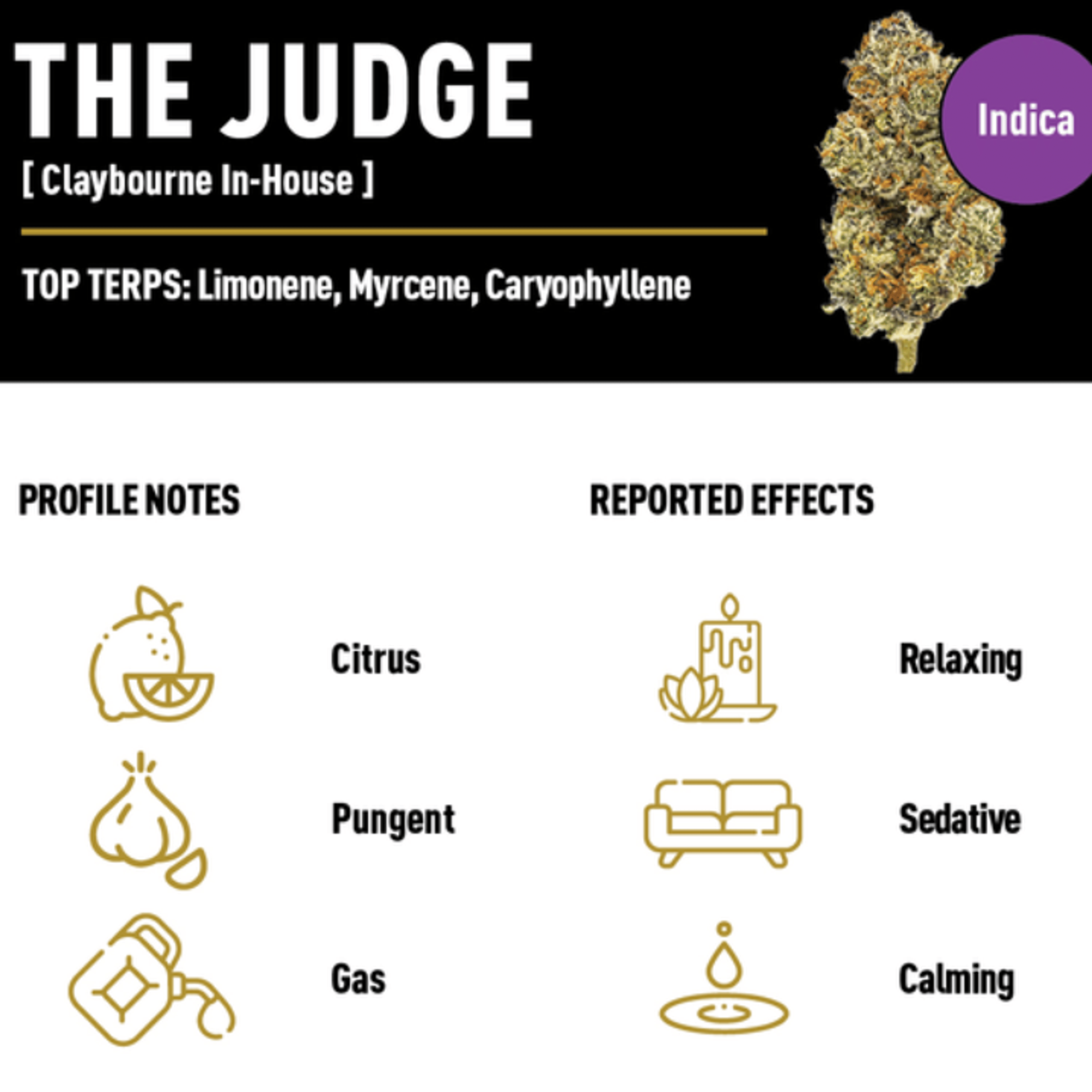 Claybourne: Gold Cuts - The Judge - Claybourne Co. - - $59 - Indoor Flower