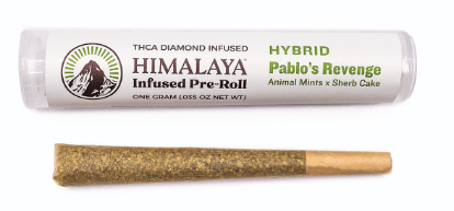 Himalaya Infused Pre-roll - Himalaya - Lemon Snow Leopard (S) - $11 - Pre-Rolls