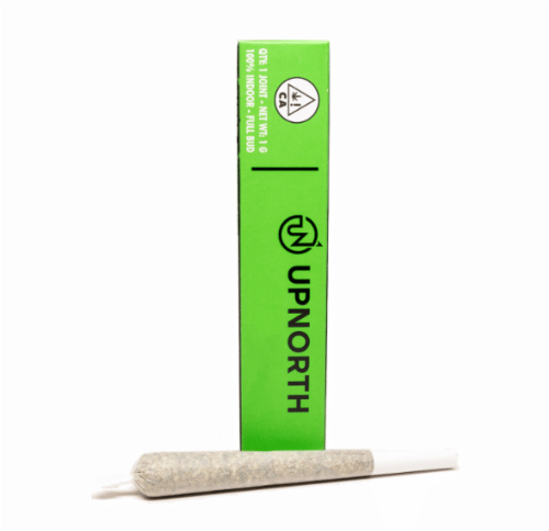 UpNorth: Headband