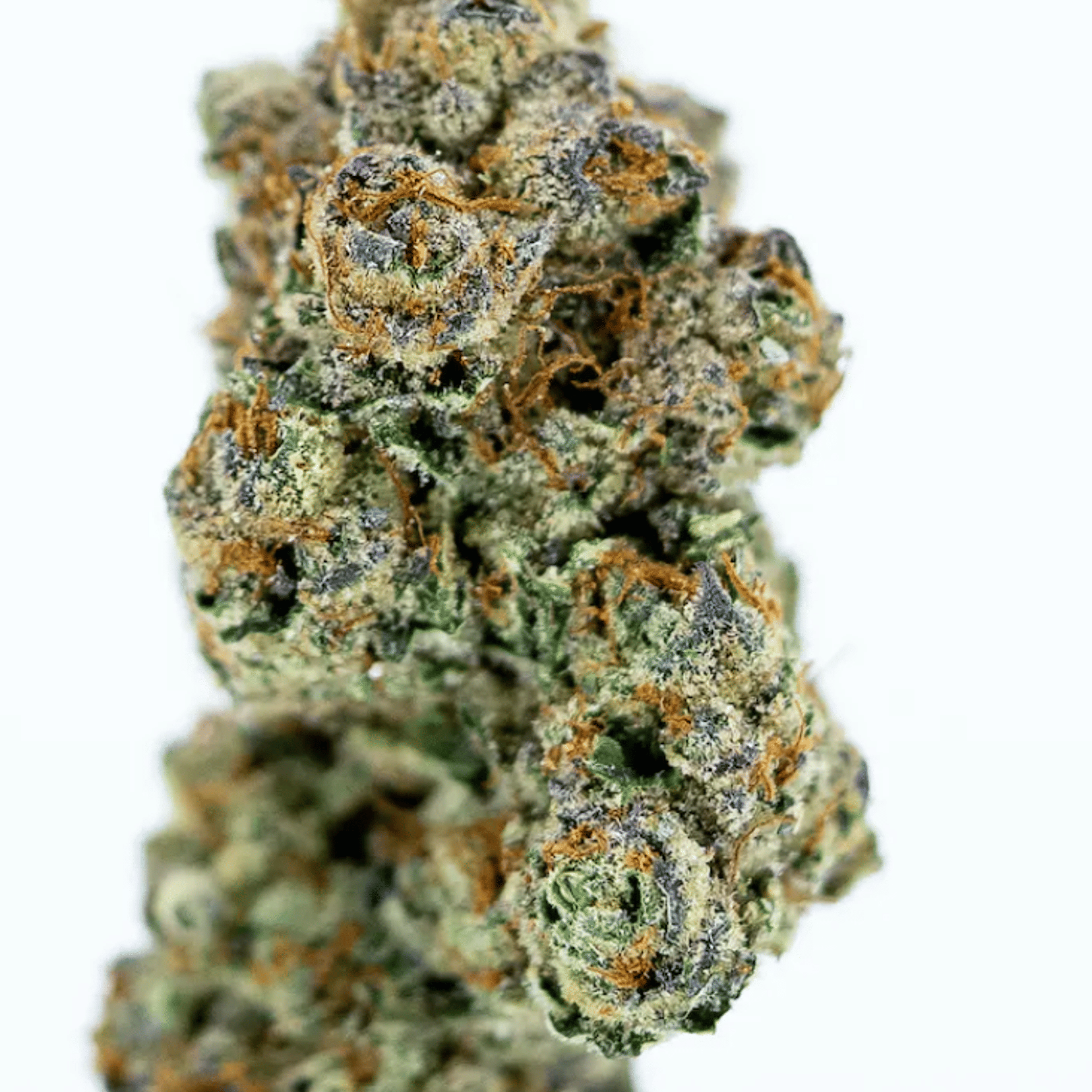 Roze 3.5g - Habitat - - $30.25 - Flowers