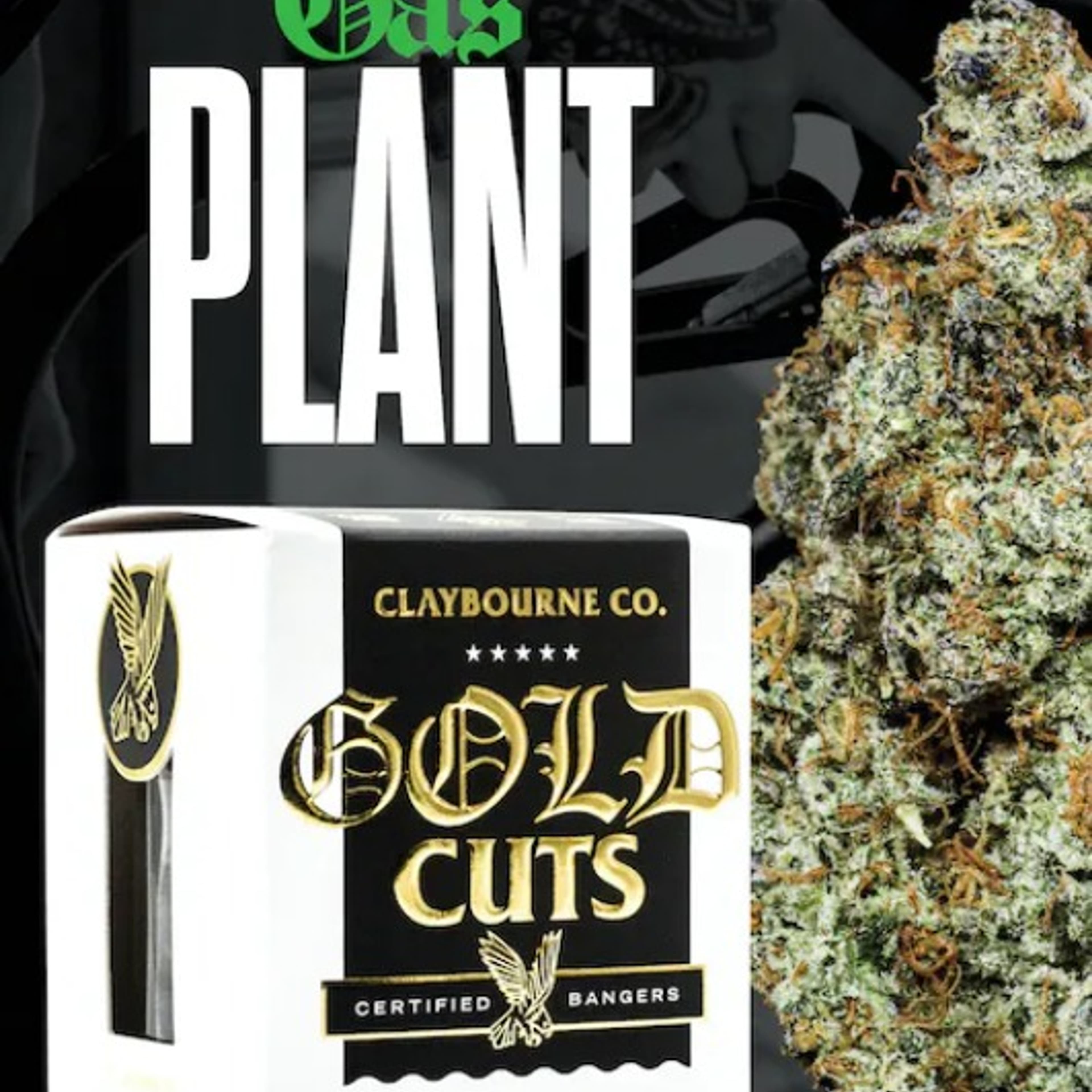 Gold Cuts: Gas Plant 3.5G - Claybourne - - $41.25 - Flowers