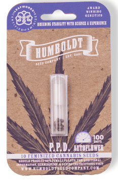 P.P.D. - Autoflower Feminized (10pk)