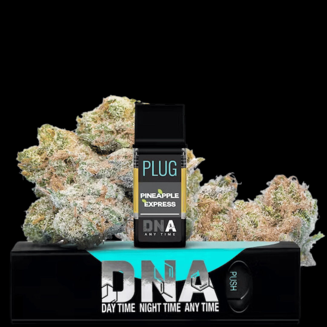 Plug Play — Pnp - Pineapple Express Dna