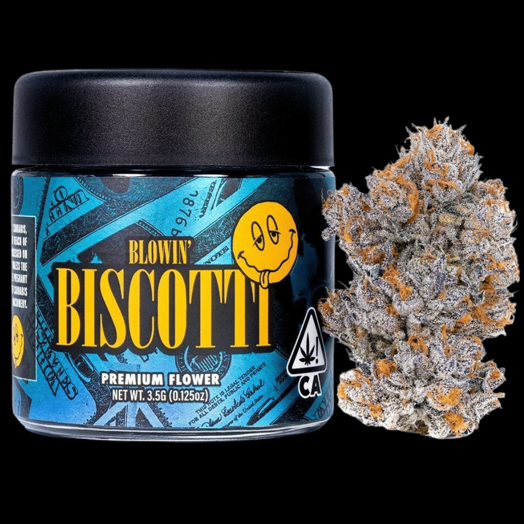 Connected — Biscotti