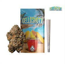SEED JUNKY: Gello Shotz