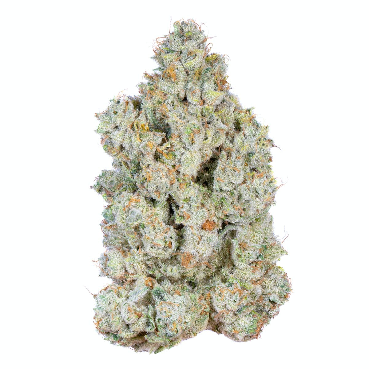 Alien Labs — Dark Web