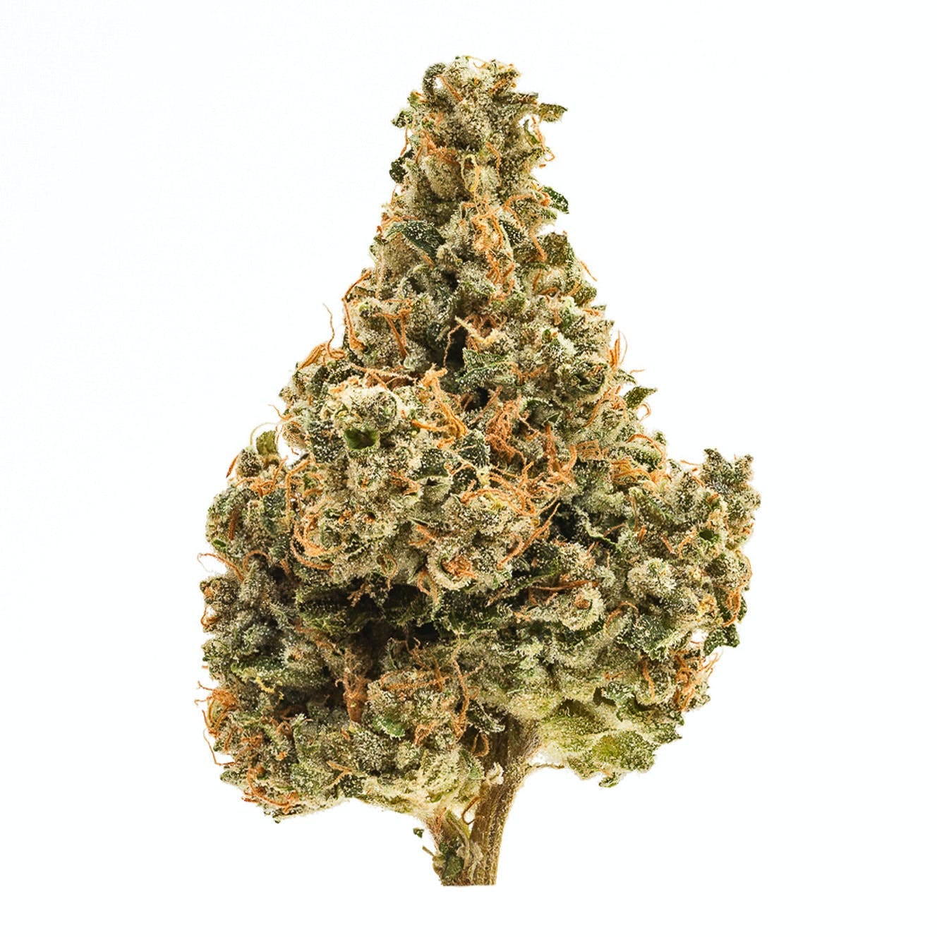 Northern Emeralds — Durban Poison