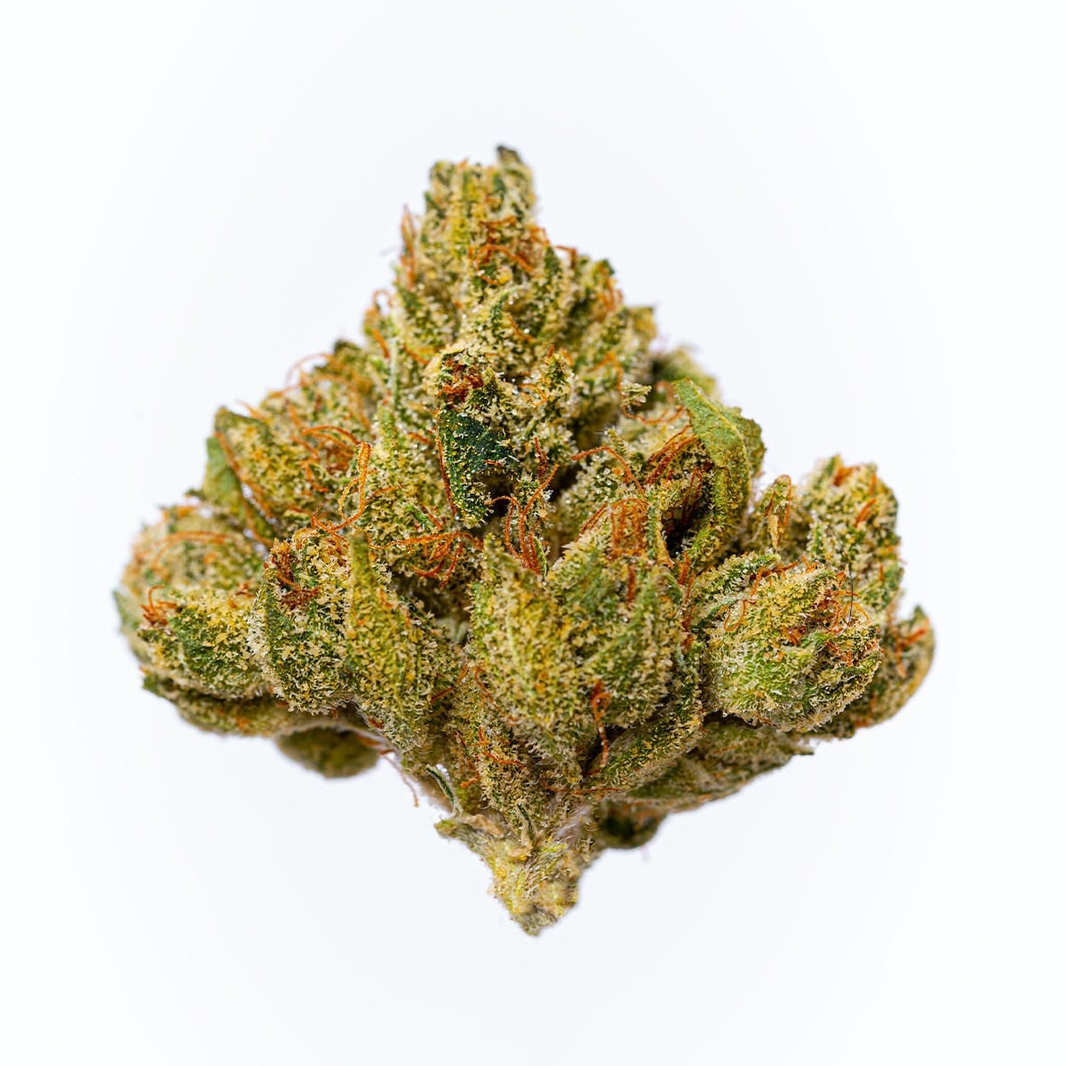The Cure Company — Alien OG