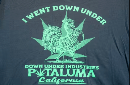 Chicken Shirt Womens Medium -  - $15 - Merch & Things