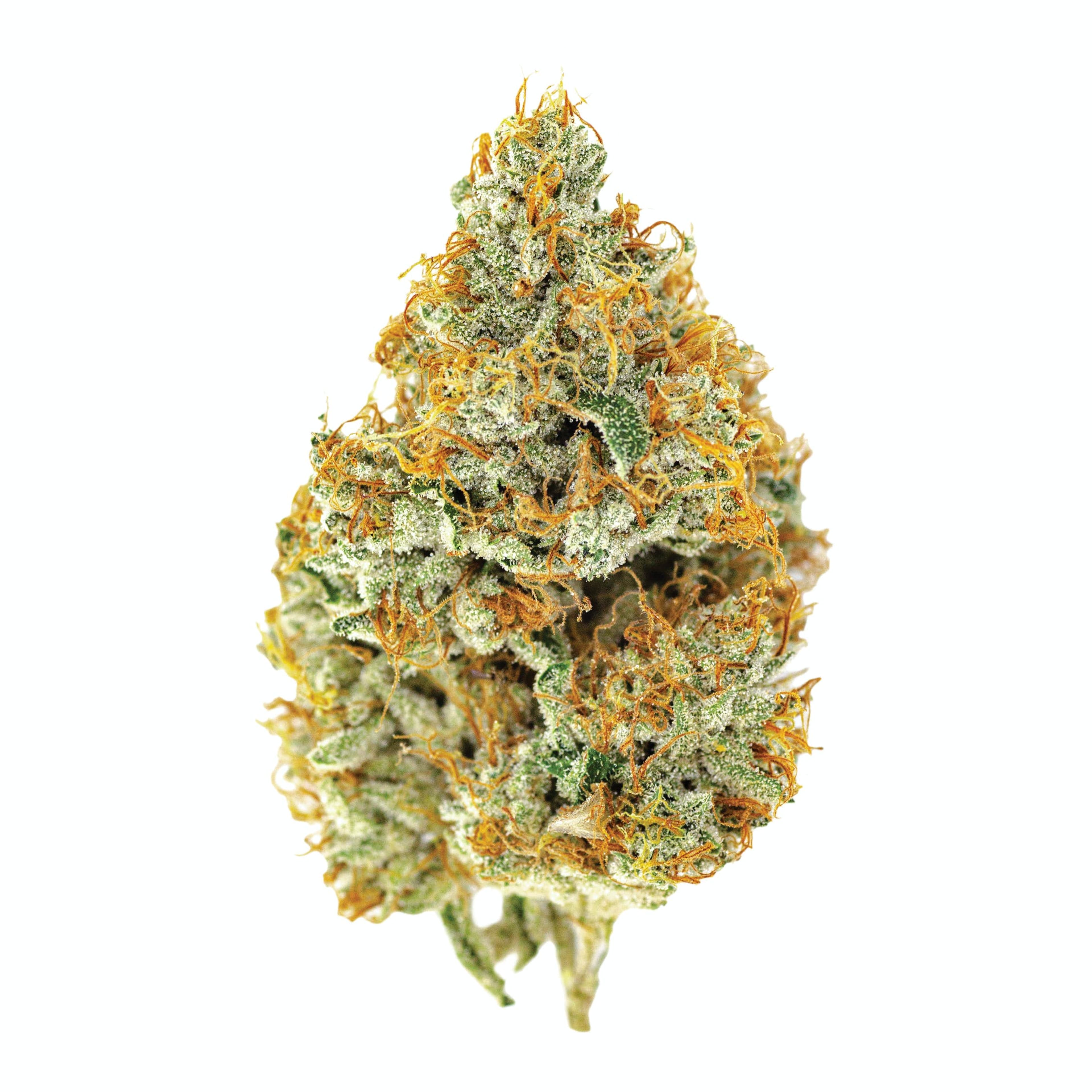 Claybourne Co. Private Stock | 3.5g - King Louis OG - Indica - Claybourne - - $38 - Flowers
