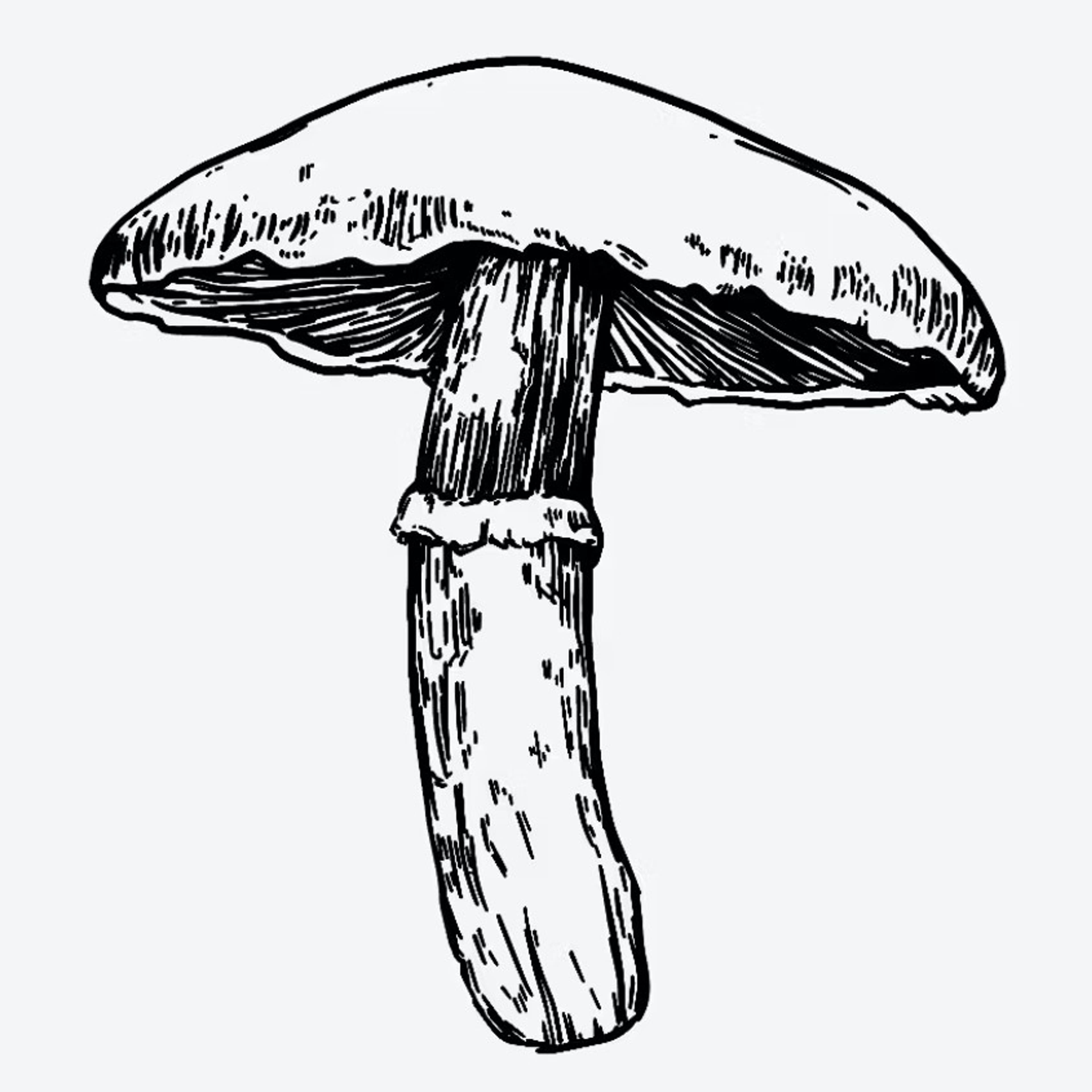 Inkbox Tattoos - Large Mushroom - Wild Mushroom Tattoo - $9.50 - Accessories