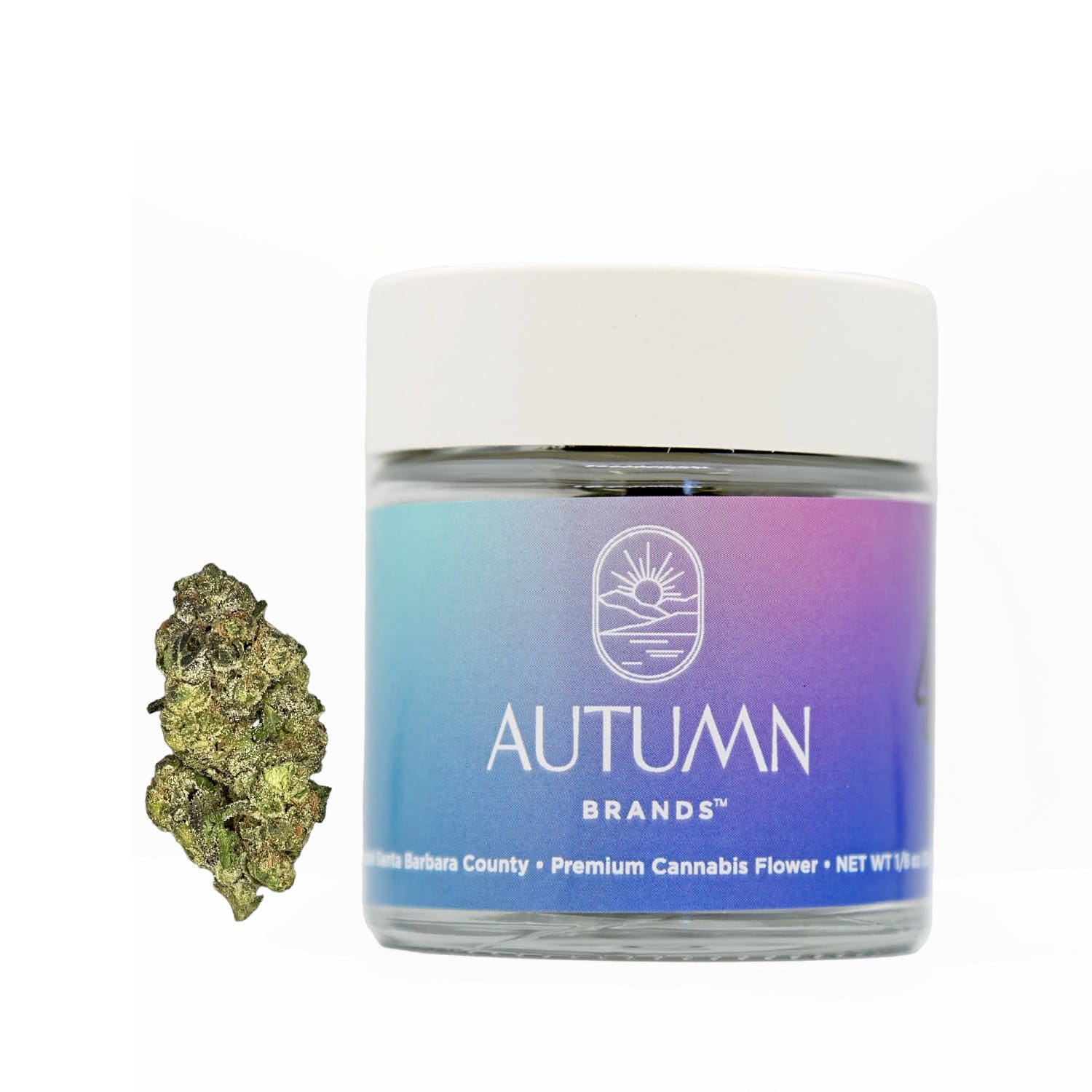 Autumn Brands: Purple Carbonite
