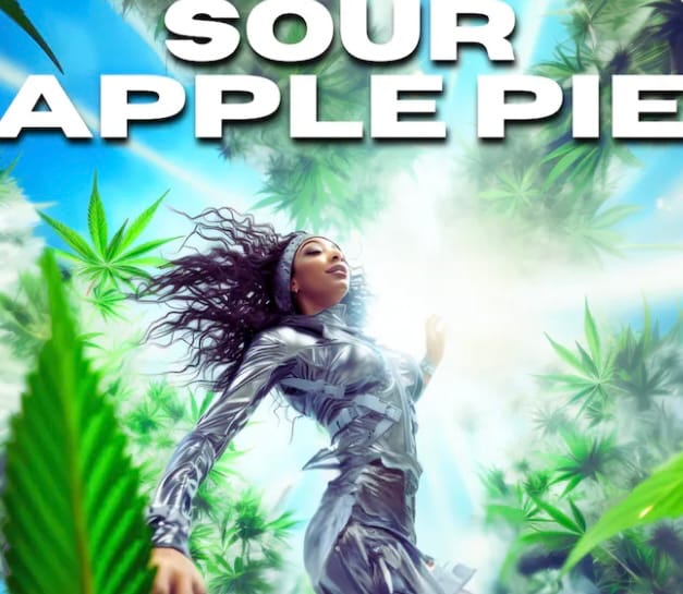 Sour Apple Pie (H) AIO - 1.25g *B2G1 EVERYDAY* - Cake She Hits Different - Sour Apple Pie (H) - $23.75 - Cartridges