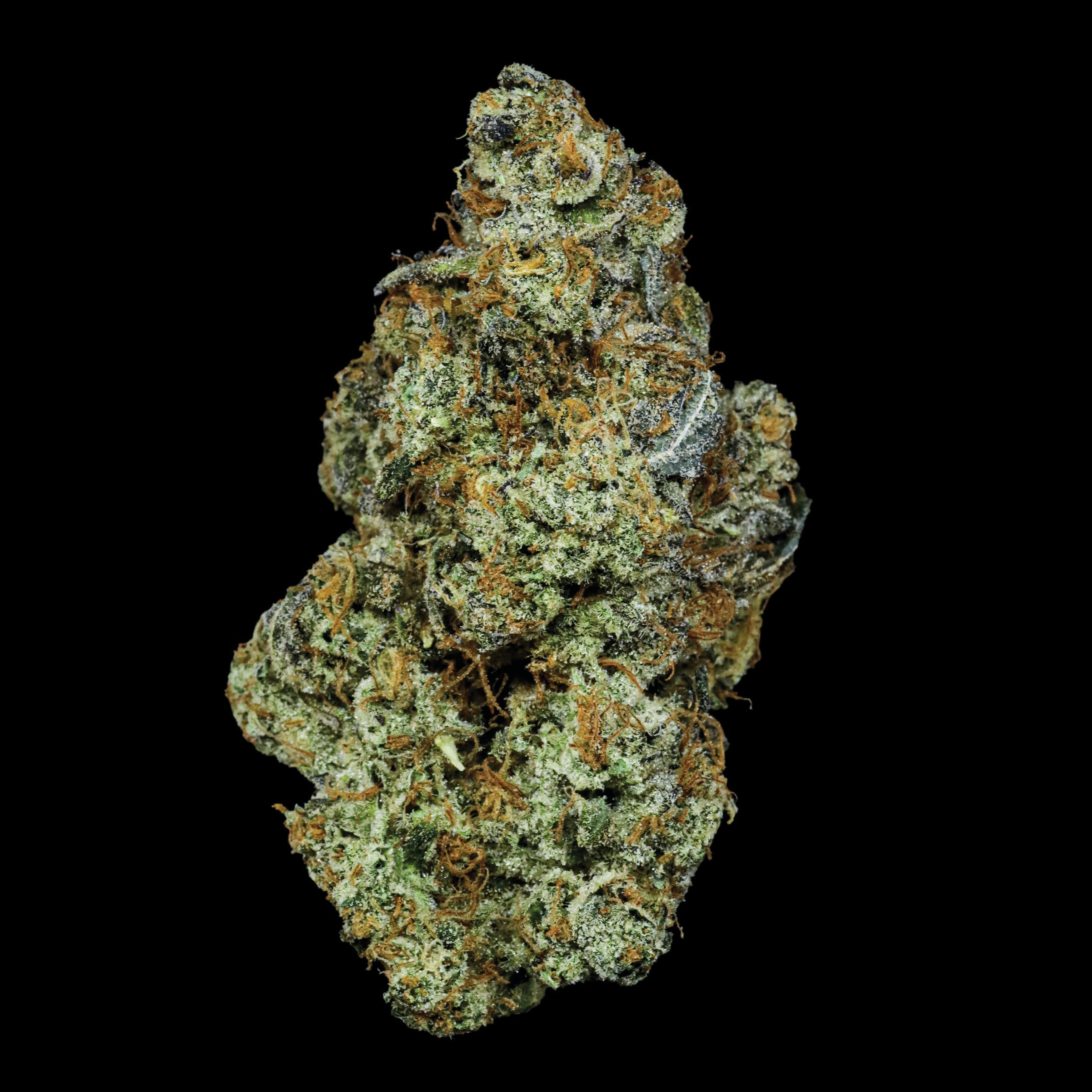 Claybourne Co: Gas Plant (I) | Gold Cuts - 3.5g - Claybourne Co. - - $55 - Flower