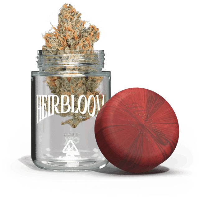 Heirbloom — Orange Crush